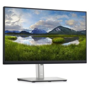 Monitor Dell 21.5 P2223HC Ips Full HD Usb-c