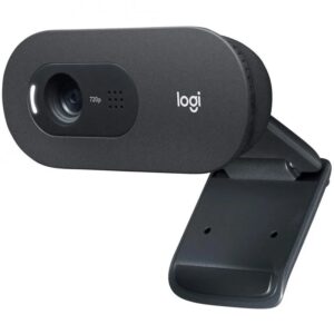 Webcam Logitech C505 720p HD