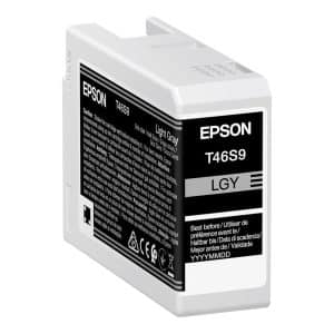 Tinteiro Original Epson T46S9 Cinza Claro