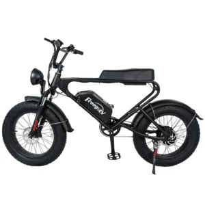 Bicicleta Freego Dk200 Motor 1200w Fat Tire Wild Off-Road Snow 48V 20Ah