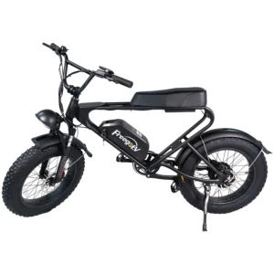 Bicicleta Freego Dk200 Motor 1200w Fat Tire Wild Off-Road Snow 48V 20Ah